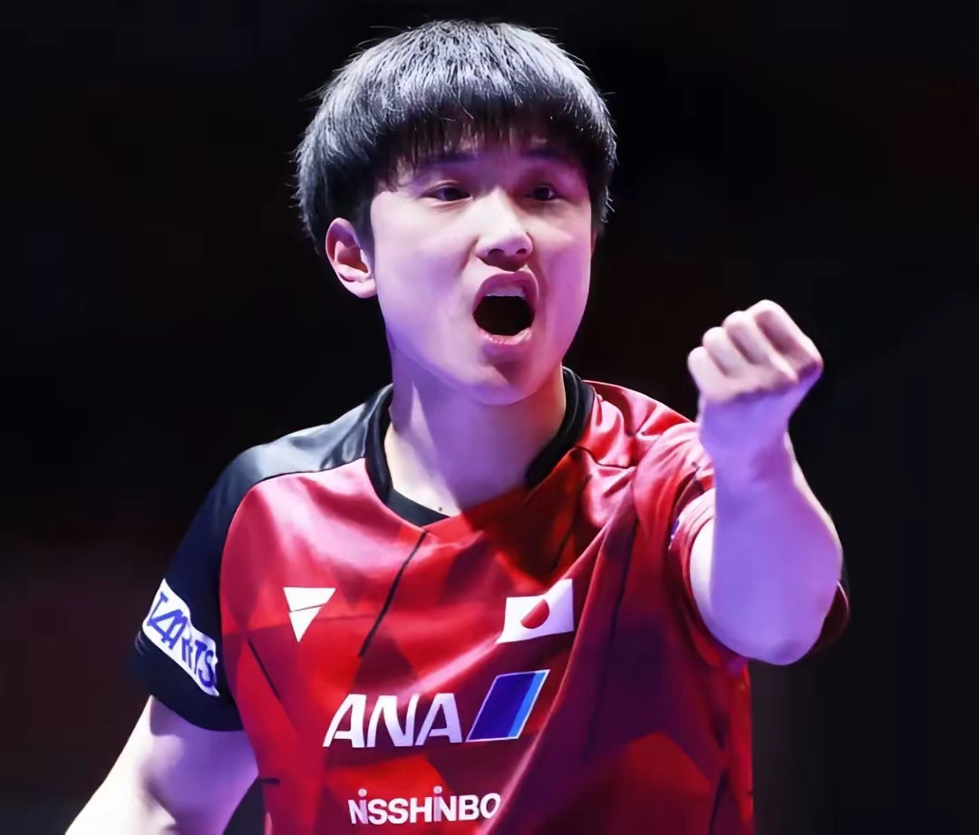 包含奥地利队轻取日本队,张本智和高光表现的词条 包含奥地利队轻取日本队,张本智和高光表现的词条