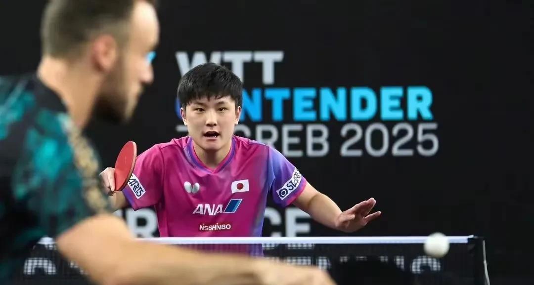 包含奥地利队轻取日本队,张本智和高光表现的词条 包含奥地利队轻取日本队,张本智和高光表现的词条