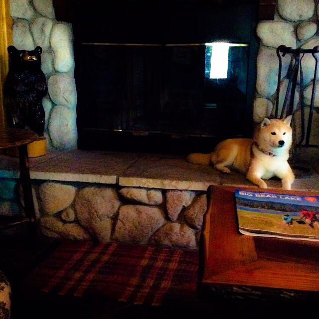 东方风暴席卷欧洲，孤独战神扛起如山责任