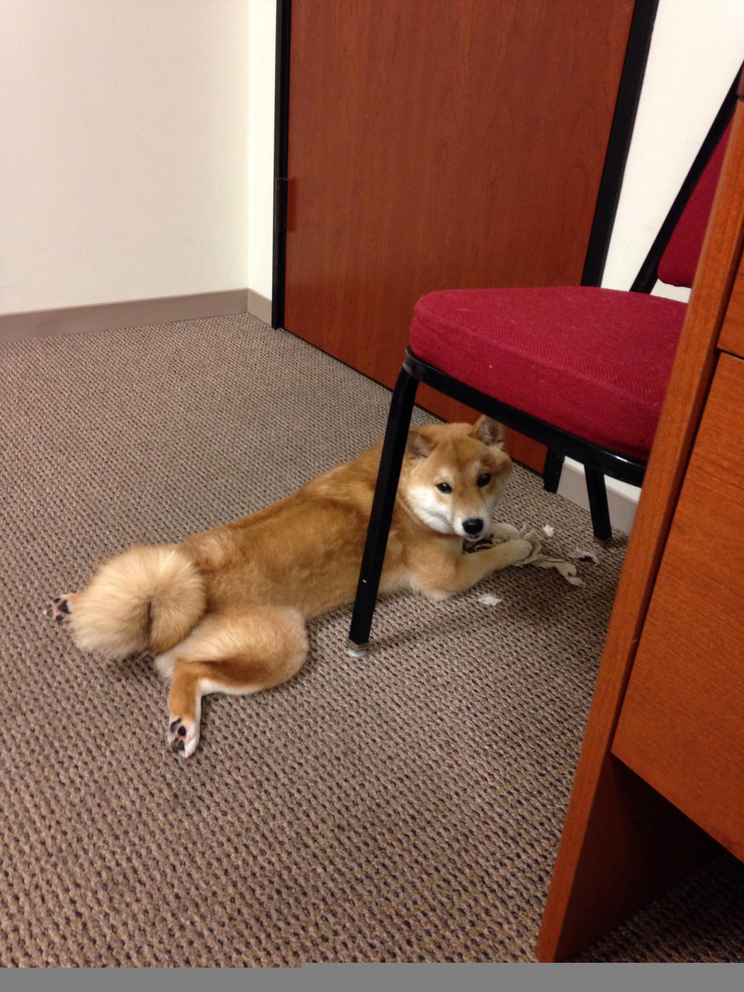 爱游戏在线-双星闪耀，英格兰队力克波兰队，许昕状态火热燃点体坛激情