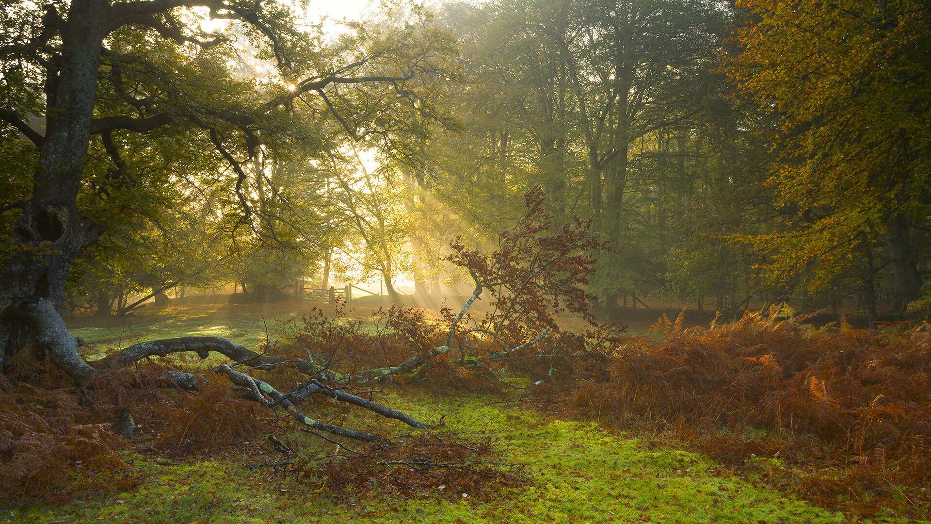 虚空交错,当保罗·乔治在沈阳体育馆拿下满分评分