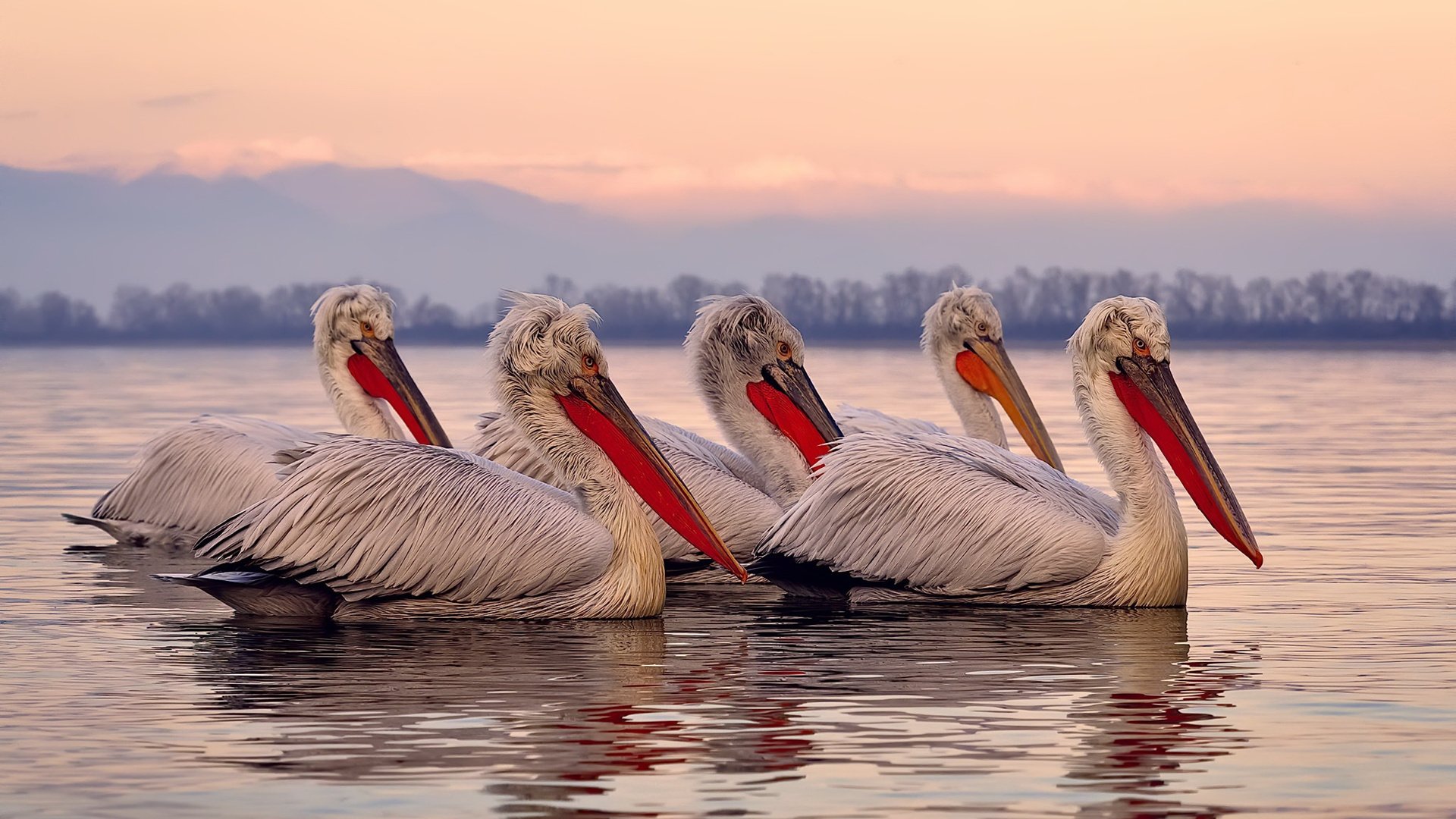 冰与火之歌，当哈登的火焰点燃末节，森林狼的寒冰已锁死太阳