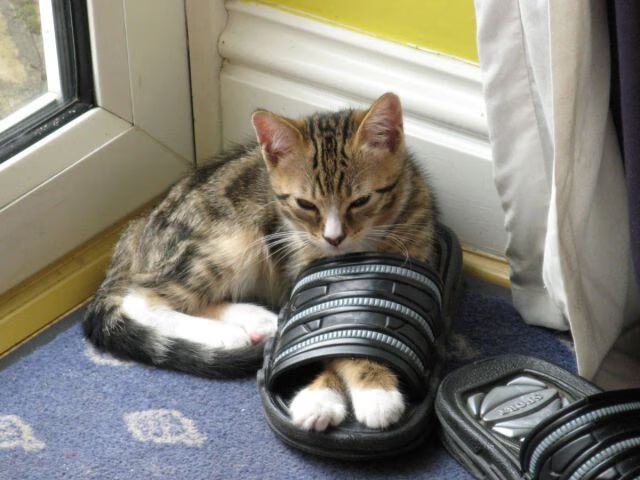 团队风暴与个人英雄,雷霆之师与拉文的奥运接管