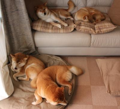 第七百三十四秒，当哈登的审判之眼掠过排名争夺战的夜空