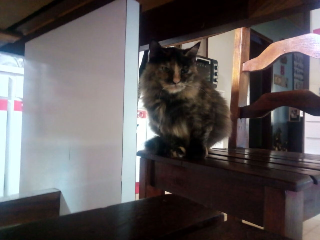 个人神迹与团队险胜,篮球时代裂缝中的双重奏