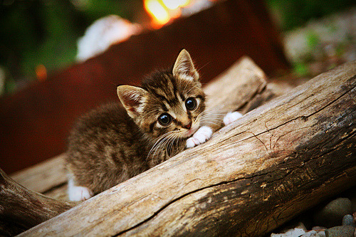 铁血囚笼与魔法时刻,当马竞的封锁遇上穆勒的接管