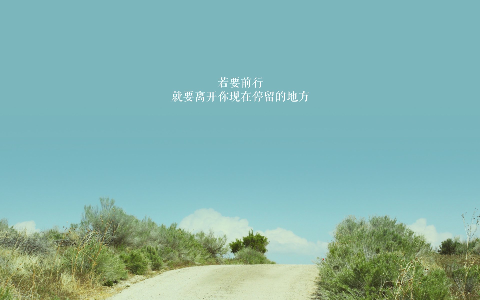 沉默的火焰,比利时黄金一代的黄昏与加拿大枫叶新雪的淬炼