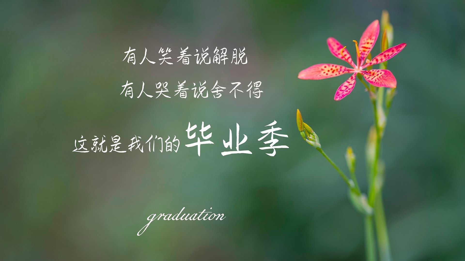 坎特,洪都拉斯决战马里的夜晚,大场面先生如何定义传奇