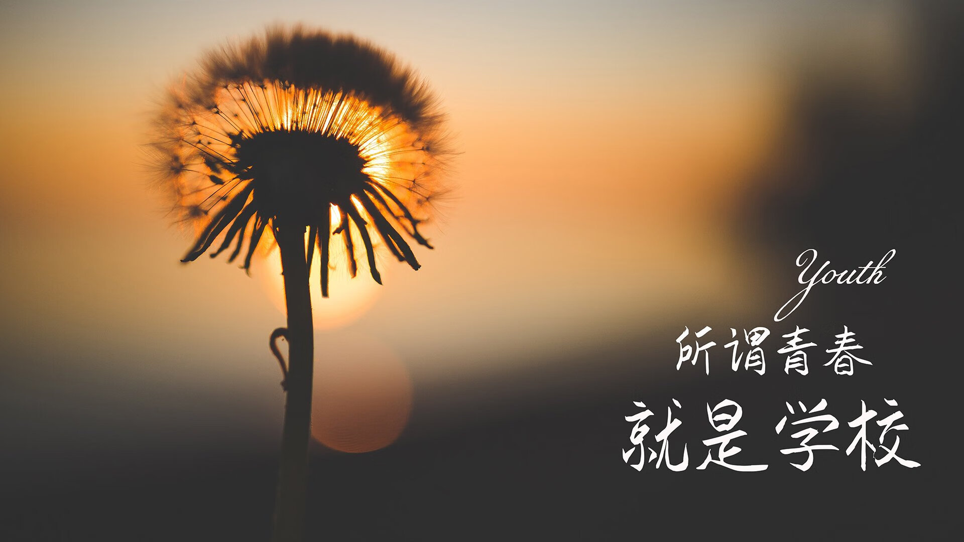 节奏之手,努涅斯如何在2026世界杯A组战中为哥伦比亚锁定胜局