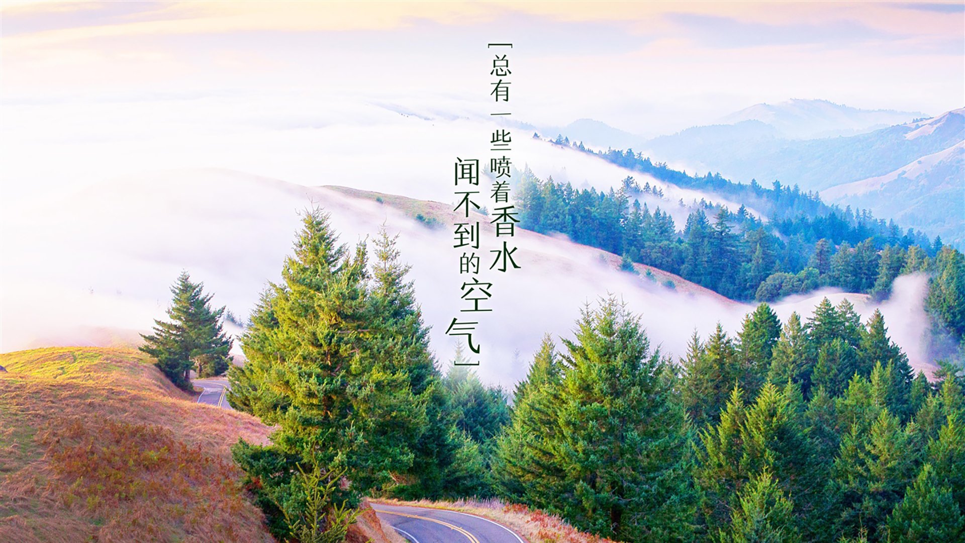 蓝衣折戟,三狮新王,福登压哨绝杀,2026世界杯上演最戏剧性强强对话