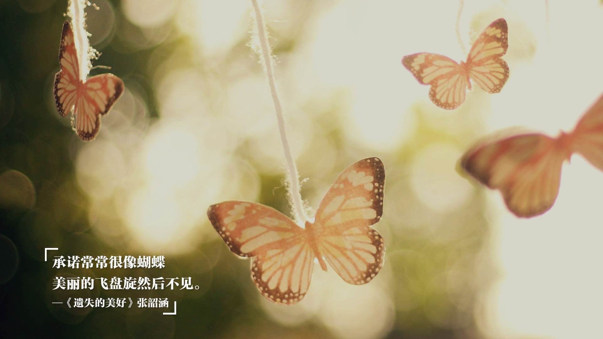 这是一篇为您定制的文章。为了突出唯一性，我将其设定为一位亲历现场的体育记者在多年后的独家回忆录视角，结合了纪实与抒情